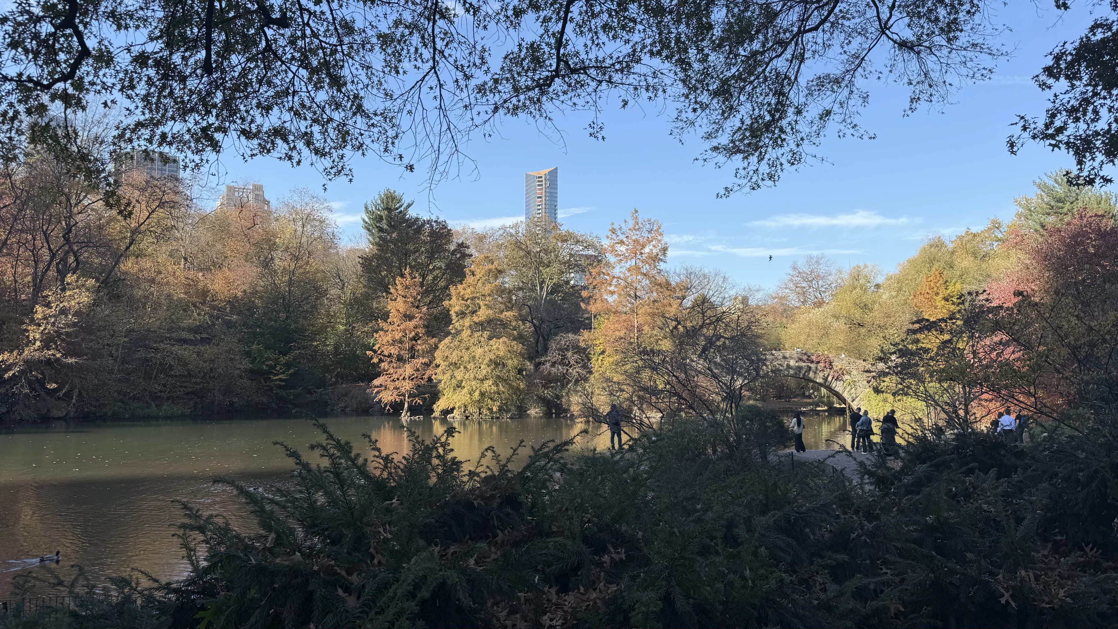 The Pond at Central Park