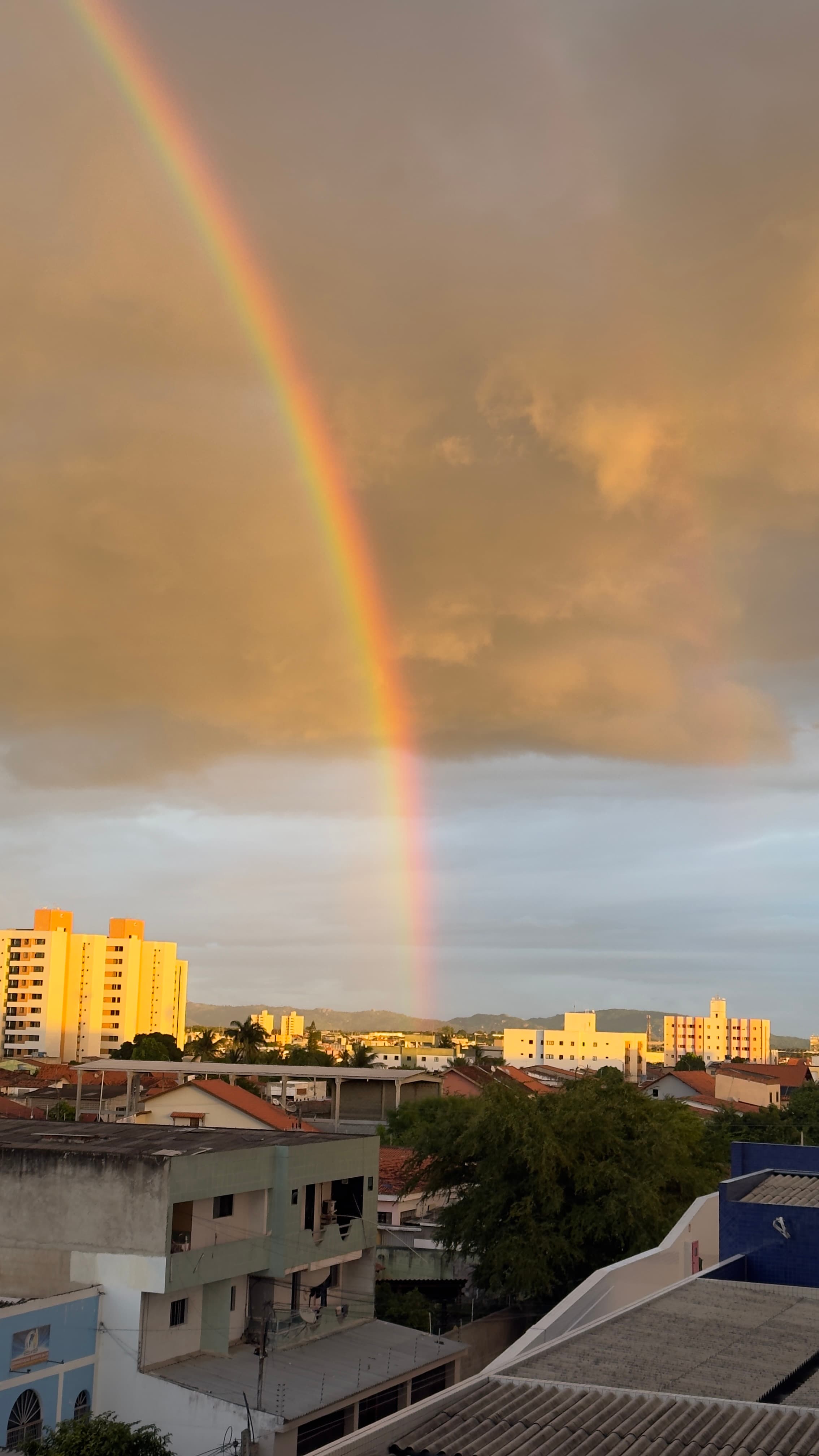 Rainbow 🌈 
